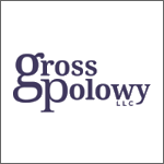 Gross Polowy, LLC